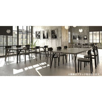 【組立設置込】プラスファニチャーカンパニー THONET チェア ブラック TN-118M-BK 1脚（直送品）