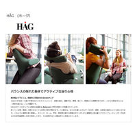 【組立設置込】プラスファニチャーカンパニー HAG CAPISCO オフィスチェア Puls ブラック CPP-8010BK 1脚（直送品）