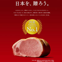 ニッポンハム 日本ハム ギフト 国産 プレミアム 美ノ国 UKI-55 お中元 冷蔵 送料無料 901043575 1セット（直送品）