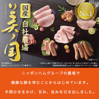 ニッポンハム 日本ハム ギフト 国産 プレミアム 美ノ国 UKI-38 お中元 冷蔵 送料無料 901040612 1セット（直送品）