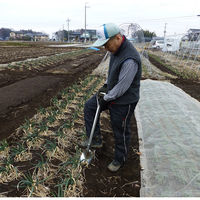 浅野木工所 四万十式 龍馬スキ 35270 1個（直送品）