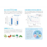 歯科医院取扱品 MIペースト ヨーグルト 40g ジーシー(GC) 歯磨き粉