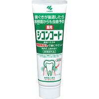 歯磨き粉 シコンコート 研磨剤無しで歯にやさしい薬用ハミガキ 虫歯予防 研磨剤無配合 ミントの香り 110g 1セット（2本）小林製薬