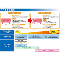 【入れ歯安定剤】 タフグリップクリーム 入れ歯安定剤（総入れ歯・部分入れ歯） 無添加 75g くっつけるタイプ 長時間安定小林製薬