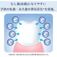 BUTLER(バトラー) エフペースト 70g 1セット(2本) こども 歯磨き粉 フッ素配合 むし歯予防 [フルーツミント味 サンスター]