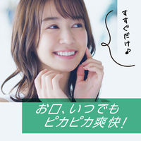 マウスウォッシュ 口臭対策 洗口液 モンダミン ペパーミント 700mL 1セット(2本) 歯垢 口内浄化 ネバつき アース製薬