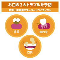 リステリン オリジナル 強刺激 ビタードライ味 500mL 1セット（2本）口臭対策 マウスウォッシュ 洗口液 医薬部外品