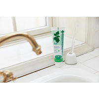 デンティス チューブタイプ 100g リベルタ 歯磨き粉 美白 ホワイトニング 歯周病予防