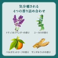 バブ ピースフルハーブ 12錠入×2箱 花王 (透明タイプ)