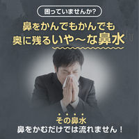チクナイン （シャワータイプ 鼻洗浄器 +水で薄める専用原液6包） 2個 鼻うがいに 小林製薬