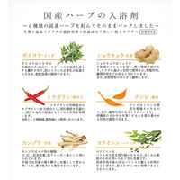 創業70余年の製薬会社がつくった国産ハーブ入浴剤 5包入 2個 松田医薬品