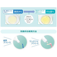 歯科医院取扱品 DENT.systema(デントシステマ) 薬用歯間ジェル 20mL 1セット（2本） ライオン(LION) 歯磨き粉