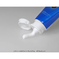 シティース ホワイト プレミアム ダブルミント 70g 2個 第一三共ヘルスケア 歯磨き粉