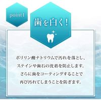 薬用パールホワイトプロシャイン 40g 1本 美健コーポレーション 歯磨き粉 美白 ホワイトニング