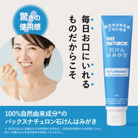 パックスナチュロン 石けんはみがき 120g 1セット(2個) 太陽油脂 ロングセラー ハッカの香り 無添加 泡立ち控えめ 天然由来100%
