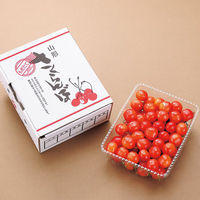 【お中元ギフト・のし付き】紅秀峰（さくらんぼ）［500ｇ］　fw-beni500　1個（直送品）