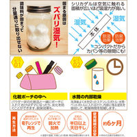 富士パックス販売 スティック型乾燥剤カラッとドライ１１０番 FP-376 1セット(6個入)（直送品）