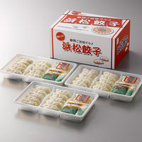 【お中元ギフト・のし付き】アイエスワイ　静岡Ｂ級グルメ浜松餃子45粒　HG-30　1個（直送品）