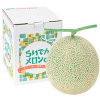 【お中元ギフト・のし付き】北海道らいでんメロン（赤肉）　HRMA28　1個（直送品）