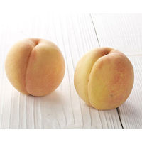 【お中元ギフト・のし付き】和歌山あら川の桃　ARKM-E0S　1個（直送品）