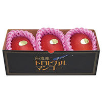 【お中元ギフト・のし付き】台湾産　アップルマンゴー［1ｋｇ］　bf-tm1kg　1個（直送品）