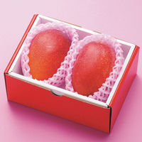 【お中元ギフト・のし付き】宮崎マンゴー　fw-mym700　1個（直送品）