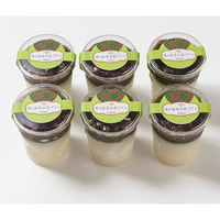 【お中元ギフト・のし付き】谷常製菓　葛の抹茶豆乳ぷりん6個　KT-KZP6　1個（直送品）