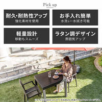三栄コーポレーション 屋外設置、水洗い可能 ラタン調ガーデンチェア 肘付き2脚セット A1--PYXARMCHR2S_AS　１セット(２脚）（直送品）