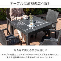 三栄コーポレーション 屋外設置、水洗い可能 ラタン調ガーデンテーブル・肘無しチェア 5点セット A1--PYX80TBL5S_AS 1セット（直送品）