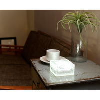 YAMAZEN LEDガーデンブリツクソーラーライト WLL-1027(WH)* 1台