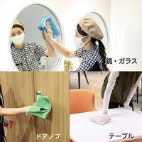 テラモト FX制菌クロス(TioTio) 赤 20×30 CL3749402 1セット(10枚)（直送品）