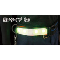 サンリョウ ＧＥＮＴＩ　ヒカリＧ 6300027715 1枚（直送品）