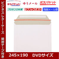 ロジマート レターケース DVDサイズ【NO2】50枚 310051 1セット（直送品）