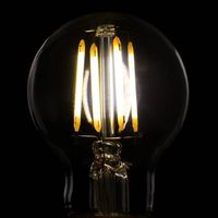 オーム電機 LEDクリプトン球 2W E17 昼白色 LDA2N-E17 C6/PS35 1個