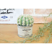 ケーアイジャパン フェイクグリーン TINサキュレント 光触媒 ボール 394827 1個（直送品）