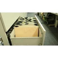 エスコ A3/310x435mm ハンガーフォルダー(20冊) EA762CE-11 1パック(20冊)（直送品）