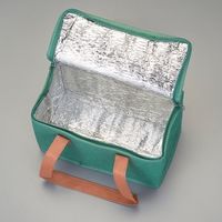 エスコ 260x150x140mm 保冷バッグ EA925MF-81 1セット(10袋)（直送品）