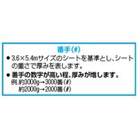 エスコ 3.6x5.4m/0.19mm ブルーシート(#2500/防炎) EA911AB-165 1枚（直送品）