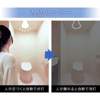 エスコ AC100V/ 5.6W/E26 電球/LED(電球色) EA758XP-121 1セット(3個)（直送品）