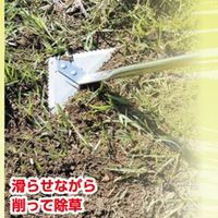 高儀 TAKAGI 絶対無草 ギザ刃付全方向三角除草具 大 ZM-04 4907052762725 1セット（3個）（直送品）