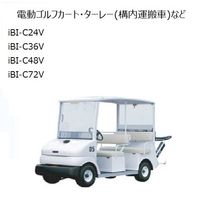 電動ゴルフカート・ターレー（構内運搬車）など 鉛バッテリー延命装置 iBI SYSTEM iBI-C48V IBI-C48V（直送品）