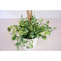 岩や 人工樹木／人工観葉植物　ベンジャミン寄植 A-0002 1個（直送品）