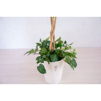 岩や 人工樹木／人工観葉植物　シラカシ寄植 A-0003 1個（直送品）