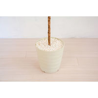 岩や 人工樹木／人工観葉植物　シラカシ A-0005 1個（直送品）
