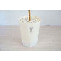 岩や 人工樹木／人工観葉植物　オリーブ　１８０ｃｍ A-0028 1個（直送品）