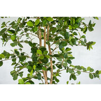 岩や 人工樹木／人工観葉植物　ガジュマル A-0022 1個（直送品）