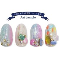 ＳＨＡＲＥＹＤＶＡ転写箔 オーロラシェル ５枚セット93827 (直送品)   1個（直送品）