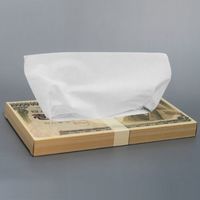 林製紙 (7302)壱億円30Wボックスティッシュペーパー 120573 1箱（100個)（直送品）