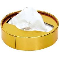 林製紙 (7193)金メダル10Wティッシュペーパー 221033 1箱（100個)（直送品）