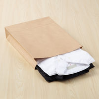 「現場のチカラ」 フラップなし宅配袋（紙製） 茶 中サイズ 封かんシールなし  1セット（50枚：10枚入×5）  オリジナル